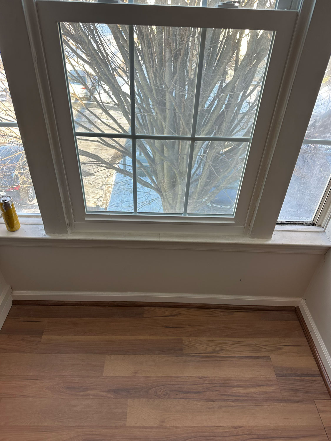A large window with a tree outside, sunlight, and a can on the windowsill above a wooden floor.