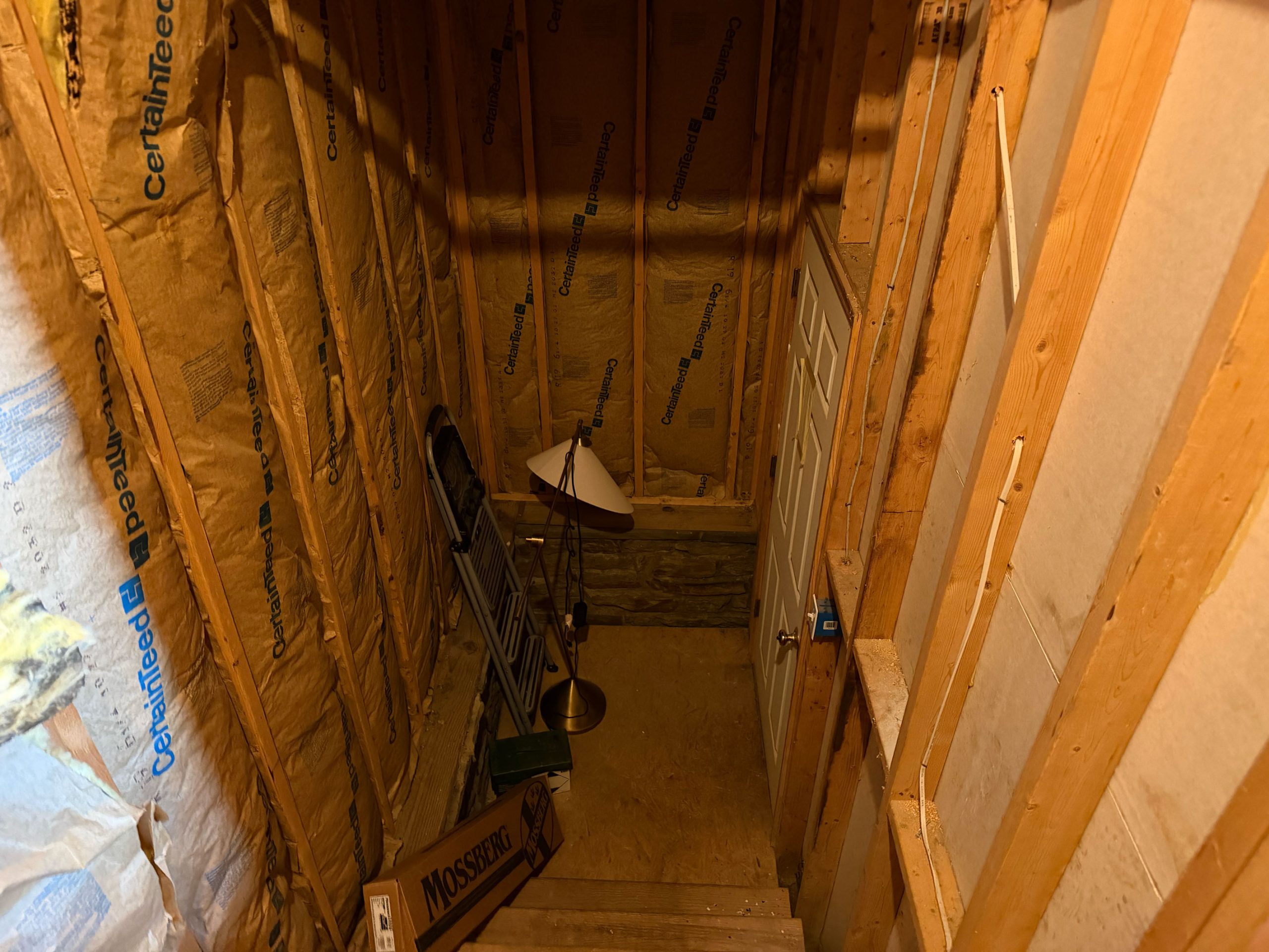 Unfinished basement stairs with insulation, a lamp, ladder, and a closed door at the bottom.